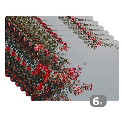 Placemats Tischset 6-teilig 45x30 cm Blumen - Luft - Rosa (Gr. 45x30 cm)