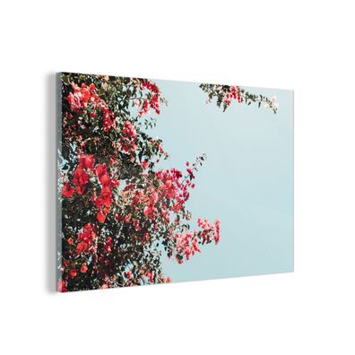 Glasbild Glasfoto Wandbild 90x60 cm Blumen - Luft - Rosa (Gr. 90x60 cm)