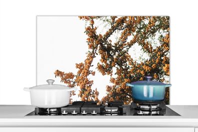 Spritzschutz Küchenrückwand - 90x60 cm Blumen - Äste - Natur (Gr. 90x60 cm)