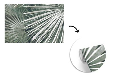 Tapete Fototapete - 360x240 cm Blätter - Grün - Palme (Gr. 360x240 cm)
