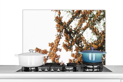 Spritzschutz Küchenrückwand - 80x55 cm Blumen - Äste - Natur (Gr. 80x55 cm)