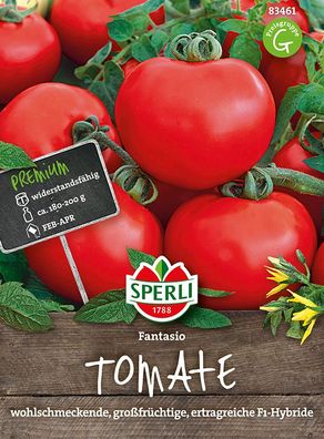 Salat-Tomate Fantasio F1, Freilandtomate, hochtolerant gegen Kraut- und Braunfäule