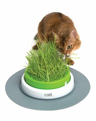 Catit Grass Planter Senses 2.0 Katzen-Grastopf Katzengras Katzenminze Haustier