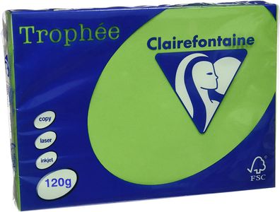 Clairefontaine Trophée Color 1293C maigrün 120g/ m² DIN-A4 - 250 Blatt