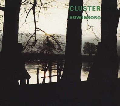 Cluster: Sowiesoso (180g) - - (Vinyl / Rock (Vinyl))