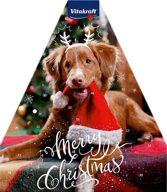 Vitakraft Adventskalender Hunde Weihnachtskalender 2021 Leckerlis Futter 244 g
