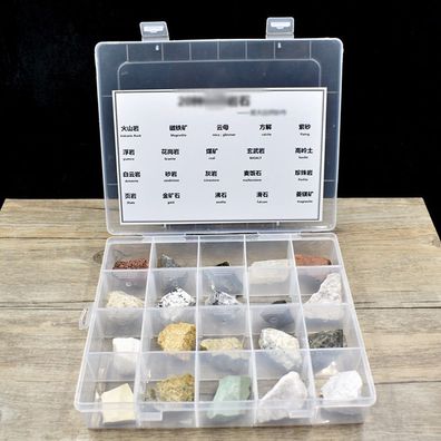20 Stuck Sedimentgesteinsprobe Echtstein Lehrmittel Mit Box Ab 8 Jahren
