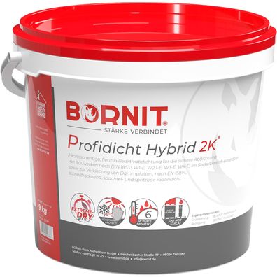 BORNIT®-Profidicht Hybrid 2K Abdichtung Keller Bauteile, Mauerwerk, Beschichtung
