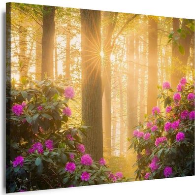 Leinwand Bilder Natur Wald Blumen Sonne Premium Kunst Wandbilder