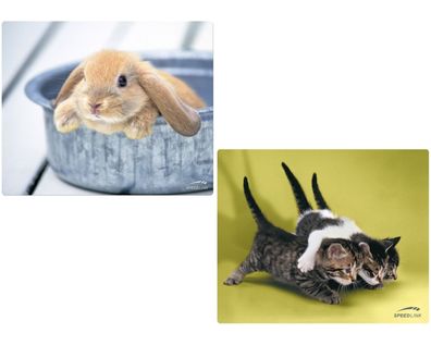 Speedlink 2x PACK Mousepad Cats + Rabbit Mauspad Motiv Baby Hase Katzen flach