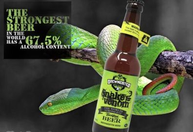 Snake Venom das stärkste Bier der Welt mit 67,5 % Alkohol inkl. original Glas