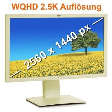 Fujitsu P27T-7 LED 27 Zoll 16:9 B-Ware vergilbt 2560x1440 HDMI DP DVI VGA