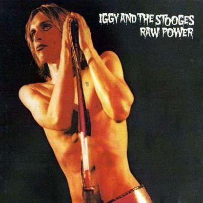 Iggy Pop: Raw Power (remastered) - Col 88985375171 - (Vinyl / Allgemein (Vinyl))