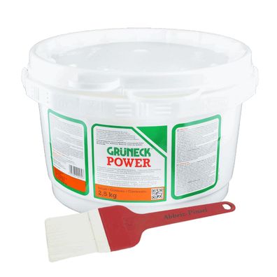 Lackentferner-Set Grüneck® Power mit Abbeizpinsel Inhalt:2,5 kg