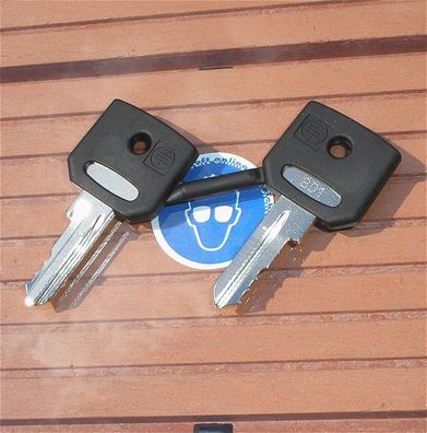 2x Schlüssel Ersatzschlüssel Schneider Electric ZBD8D1 8D1 3389110092554