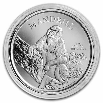 Scottsdale Mint Kamerun Mandrill Affe 2021 1 oz 999 Silbermünze Auflage 10.000
