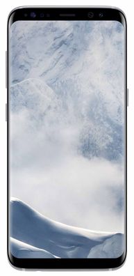 Samsung Galaxy S8+ Arctic Silver Neuware ohne Vertrag, sofort lieferbar SM-G955