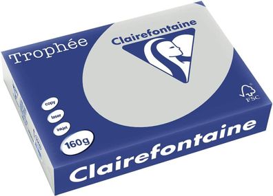 Clairefontaine Trophee Papier 1009C Stahlgrau 160g/ m² DIN-A4 - 250 Blatt