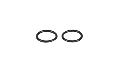 Sera O-Ring extern für Ventil für UVC-Xtreme 800 - 2er-Pack Dichtring Ersatzteil