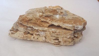 Coloradostein 16x7,5x6cm - 720g Stein für Welse, Fische, Aquarium