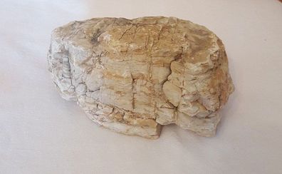 Coloradostein 16x8x7cm - 1,38kg Stein für Welse, Fische, Aquarium