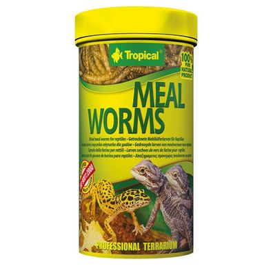 Tropical Meal Worms - Getrocknete Mehlkäferlarven für Reptilien 250ml