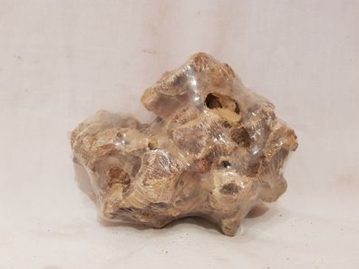 Drachenstein 14x11x8cm - 700g Dragon Stone Stein für Welse, Fische, Aquarium