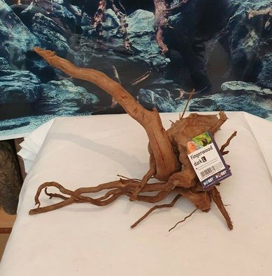 Fingerwurzel dark 38x42x17cm - Holz für Welse, Fische, Garnelen, Krebse Aquarium