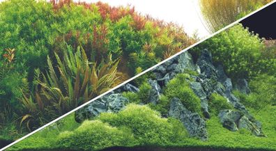 Hobby Fotorückwand Planted River / Green Rocks XL Rückwand 120x50cm Aquarium