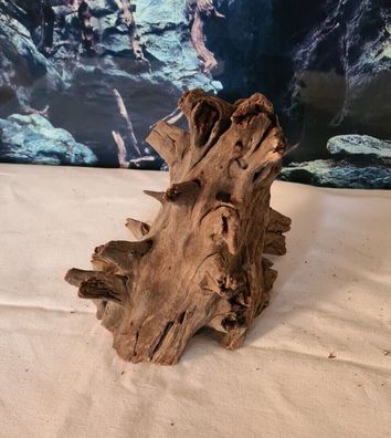 Corbo Nano Wurzel 17x19x16cm - Holz für Welse, Garnelen, Terrarium, Aquarium