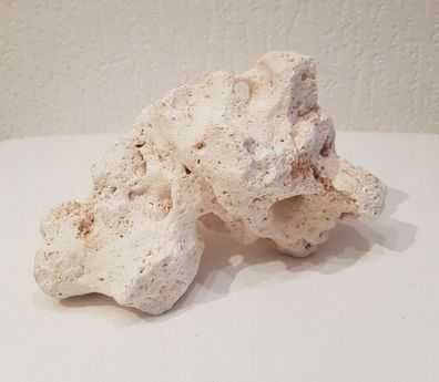 Weißes Lochgestein 18x12x9cm - 850g Stein für Welse, Fische, Aquarium