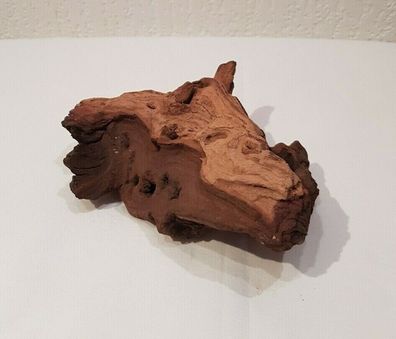 Mopani Wurzel 16x12x8cm - Holz für Welse, Fische, Aquarium