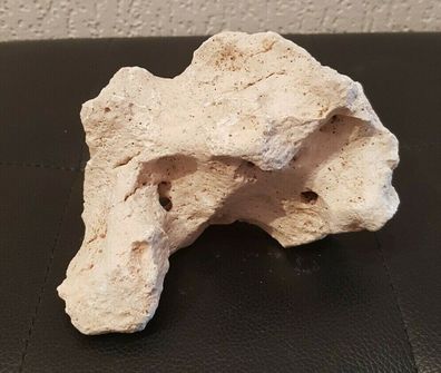 Weißes Lochgestein 13x10x8cm - 500g Stein für Welse, Fische, Aquarium