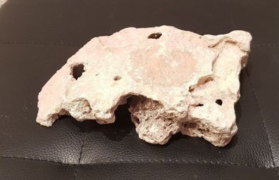 Lochgestein geschnitten 18x14x4cm - 640g Stein für Welse, Fische, Aquarium