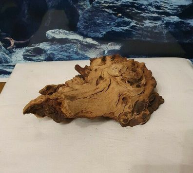 Mopani Wurzel 23x17x9cm - Holz für Welse, Fische, Aquarium