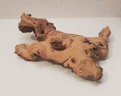 Mopani Wurzel 22x17x6cm - Holz für Welse, Fische, Aquarium