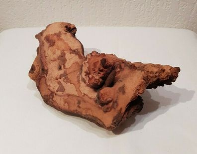 Mopani Wurzel 22x10x10cm - Holz für Welse, Fische, Aquarium