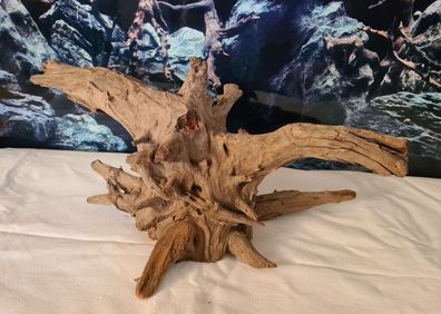 Corbo Wurzel 43x26x20cm - Holz für Welse, Fische, Reptilien, Terrarium, Aquarium