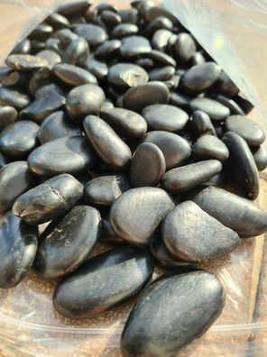 Flat Pebbles schwarz 2,5-4,5cm ca. 1kg Steine für Garnelen, Krebse, Flusskiesel