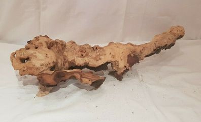 Mopani Wurzel 64x20x19cm Schaustück - 3,2kg Holz für Welse, Fische, Aquarium