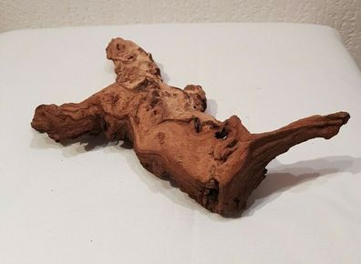 Mopani Wurzel 24x14x7cm - Holz für Welse, Fische, Aquarium