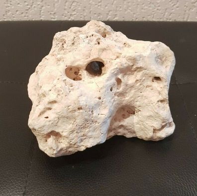 Weißes Lochgestein 12x11x7cm - 860g Stein für Welse, Fische, Aquarium