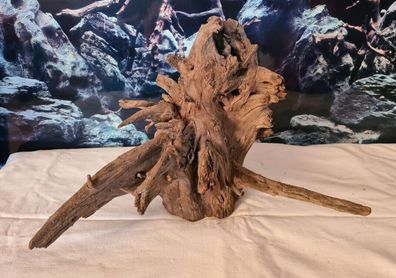 Corbo Wurzel 35x38x24cm - Holz für Welse, Fische, Reptilien, Terrarium, Aquarium