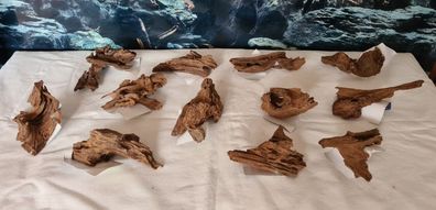 Mangroven Nano XS Wurzel 9cm bis 14cm Natur Holz für Garnelen, Krebse Aquarium