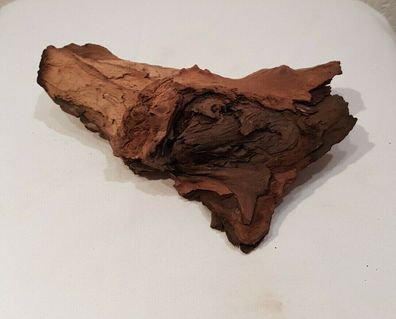 Mopani Wurzel 24x14x8cm - Holz für Welse, Fische, Aquarium