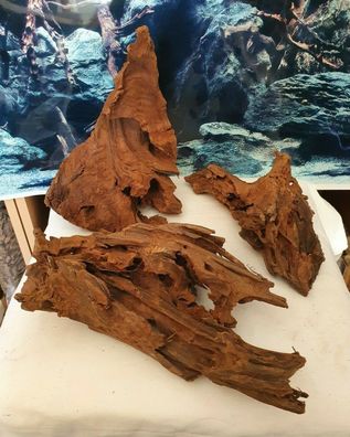 Mangroven Wurzel medium 20cm bis 40cm - Natur Holz für Welse, Fische, Aquarium