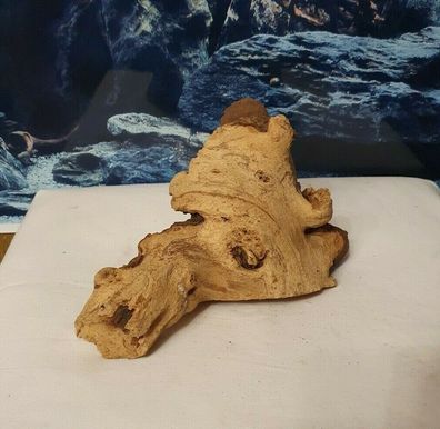 Mopani Wurzel 22x12x14cm - Holz für Welse, Fische, Aquarium