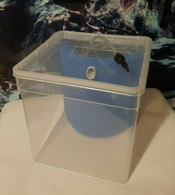 5 Liter Hälterungsbecken für Lebendfutter inkl. Filterung - Aufzucht Aquarium