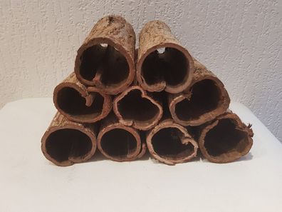 3x Seemandelbaumrinde / Catappa Bark Röhre Durchmesser 5-6cm für Garnelen