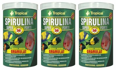 3x Tropical Spirulina Super 36% Forte Granulat 250ml - Algen Futter Aquarium